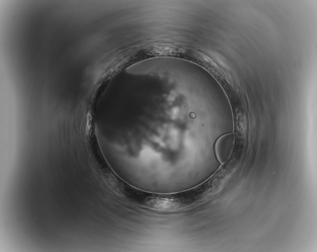 X0000093750507200710161200