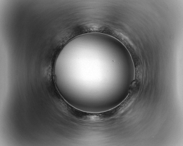 X0000093750509200710161200