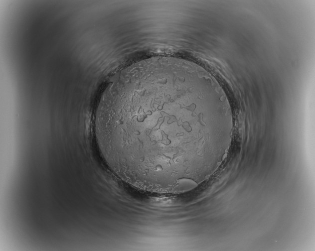X0000093750511200710161200