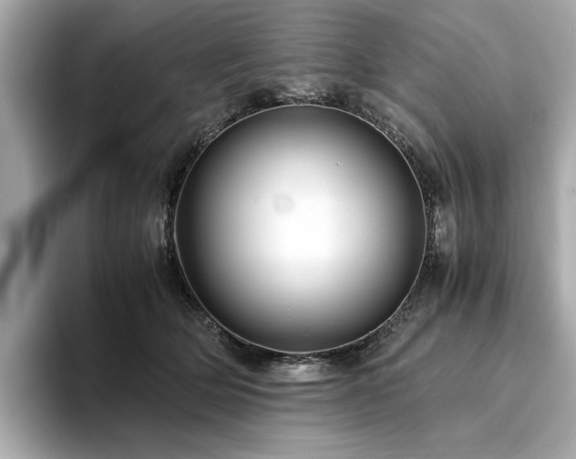 X0000093750514200710161200