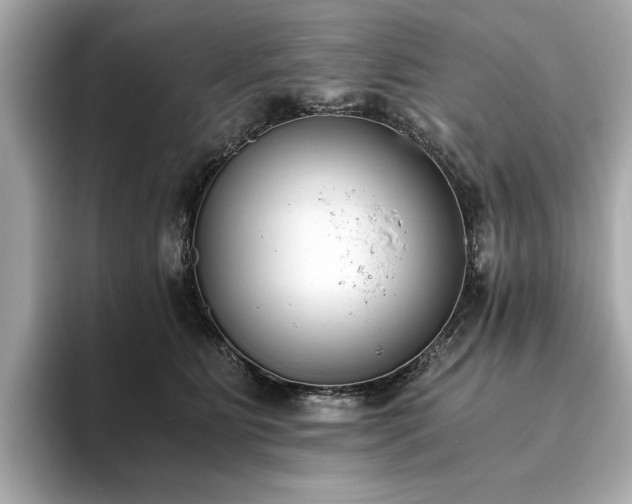 X0000093750515200710161200