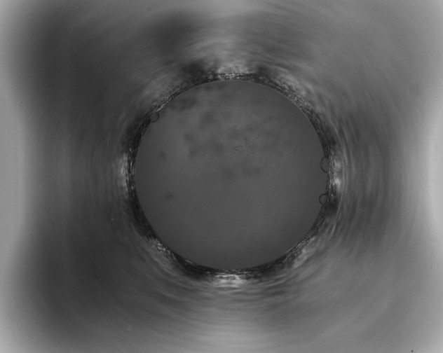 X0000093750519200710161200