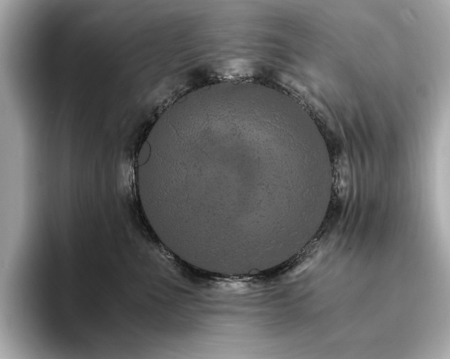 X0000093750523200710161200