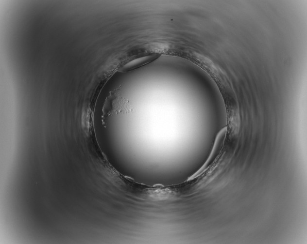 X0000093750525200710161200