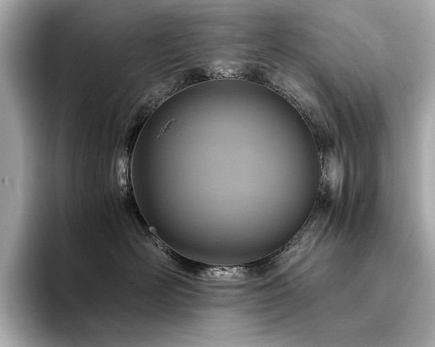 X0000093750526200710161200