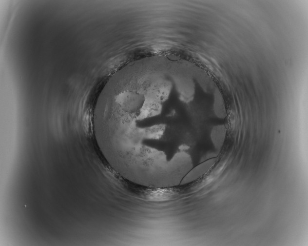 X0000093750527200710161200