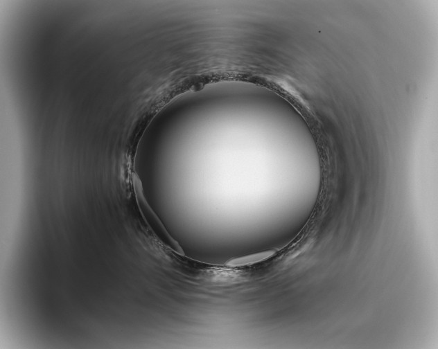 X0000093750528200710161200
