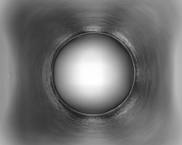 X0000093750529200710161159