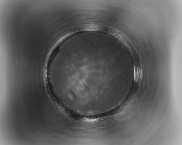 X0000093750531200710161159