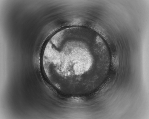 X0000093750534200710161159