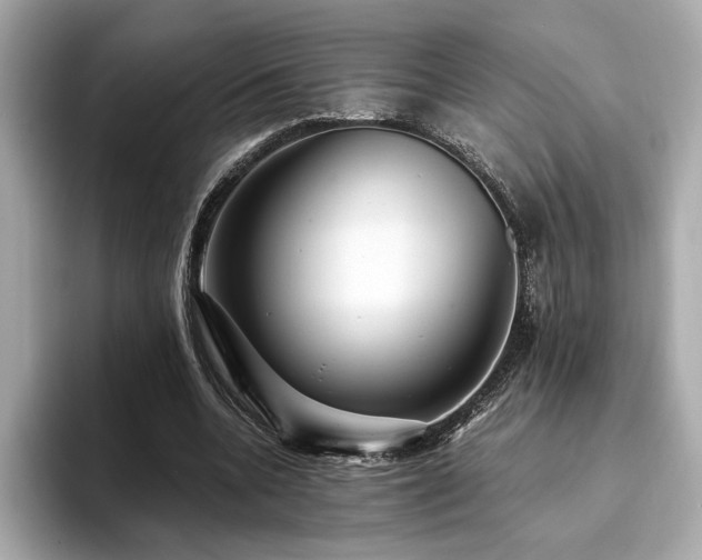 X0000093750536200710161159