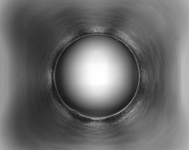 X0000093750537200710161159