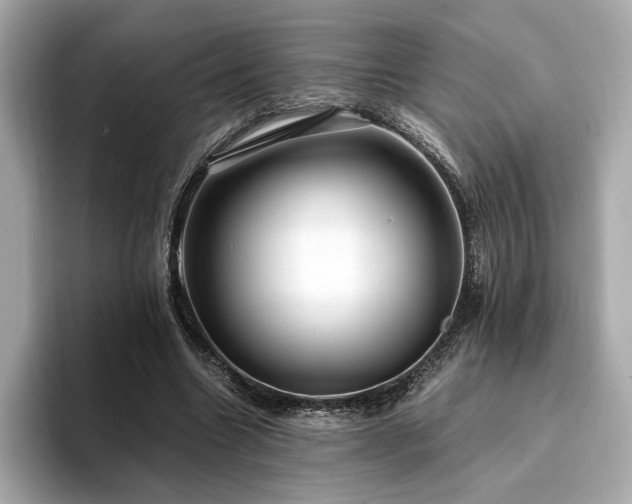 X0000093750538200710161159