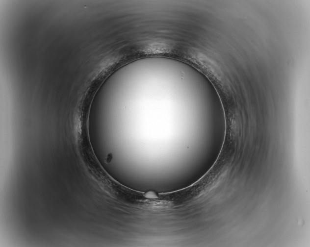 X0000093750539200710161159