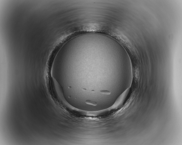 X0000093750540200710161159