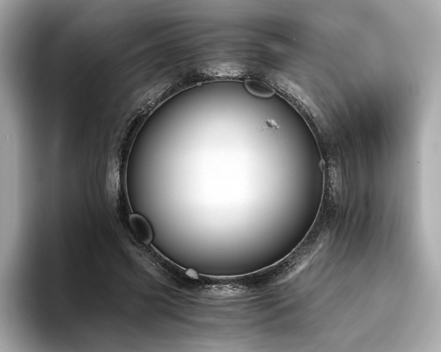 X0000093750541200710161159