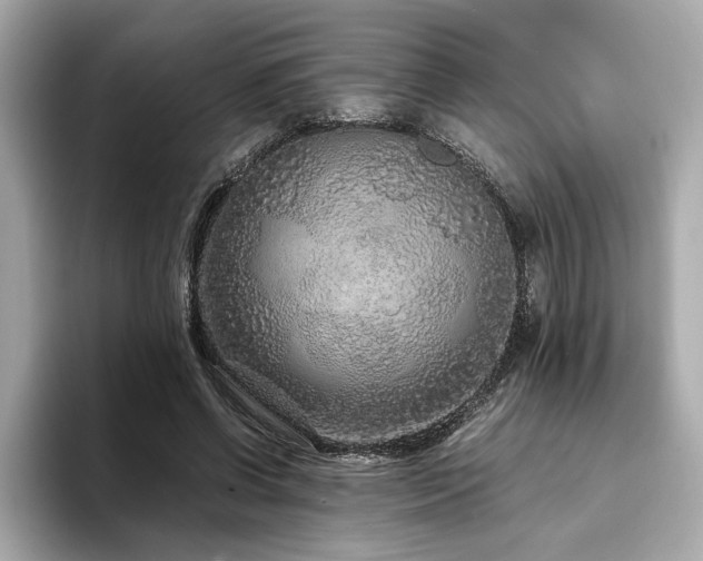 X0000093750542200710161159