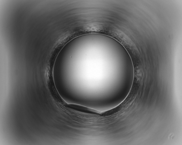 X0000093750544200710161159