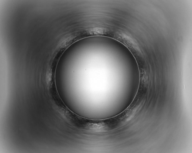 X0000093750548200710161159