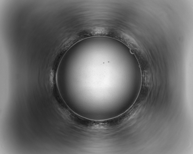 X0000093750550200710161159