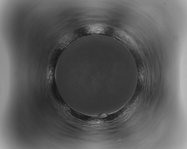 X0000093750551200710161159