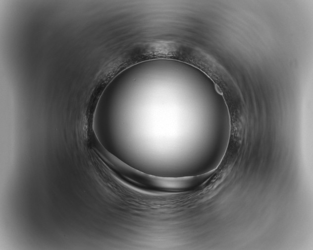 X0000093750552200710161159