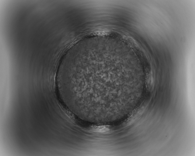 X0000093750553200710161159
