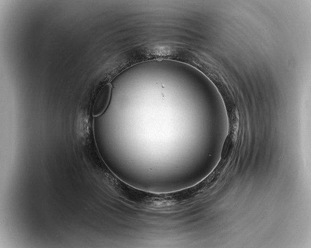 X0000093750555200710161159