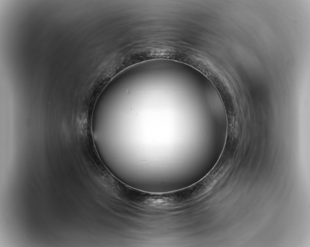 X0000093750557200710161159