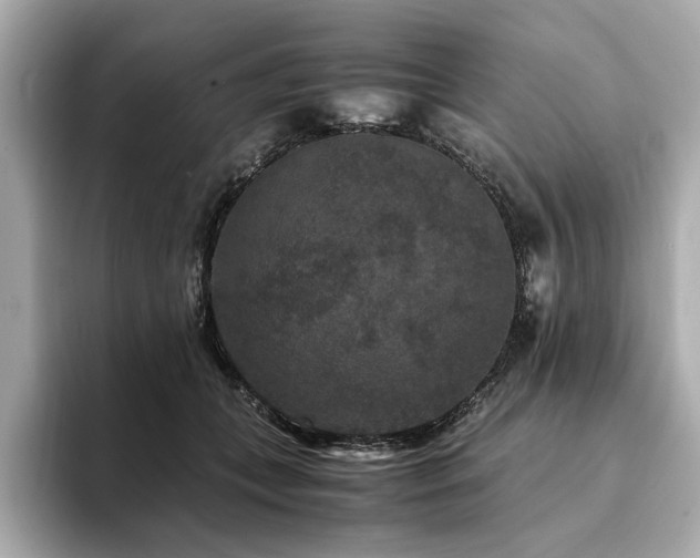 X0000093750559200710161159