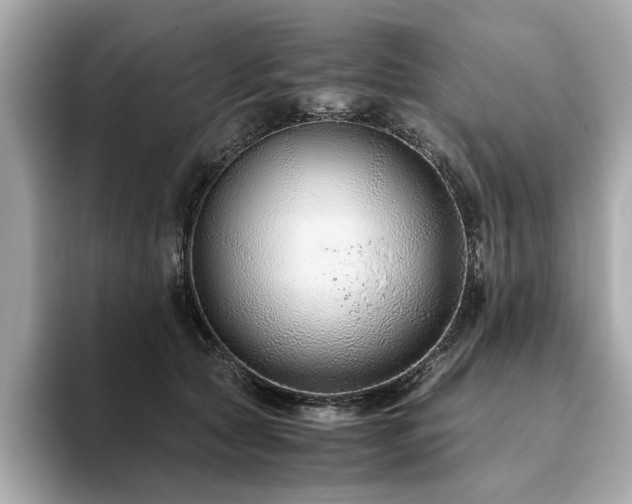 X0000093750561200710161159