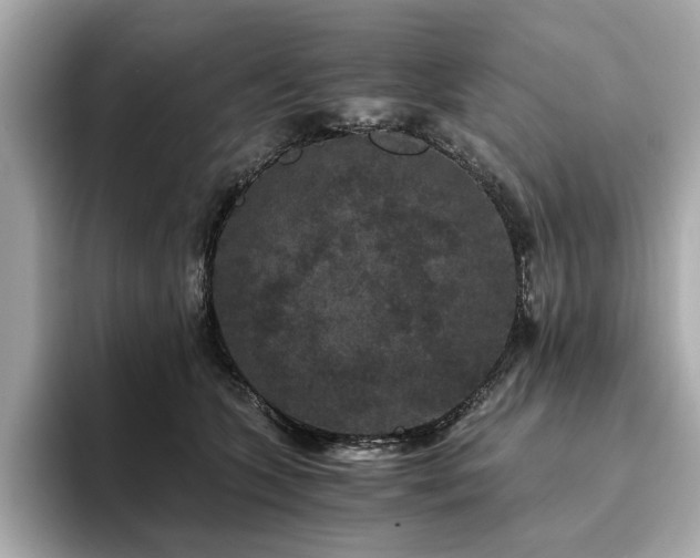 X0000093750563200710161159