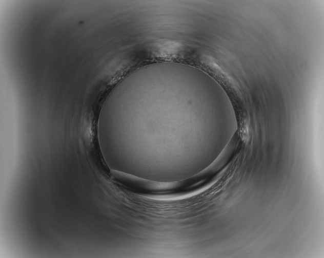 X0000093750566200710161159