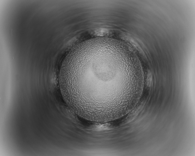 X0000093750569200710161159
