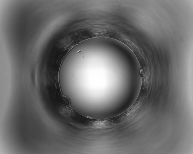 X0000093750574200710161159
