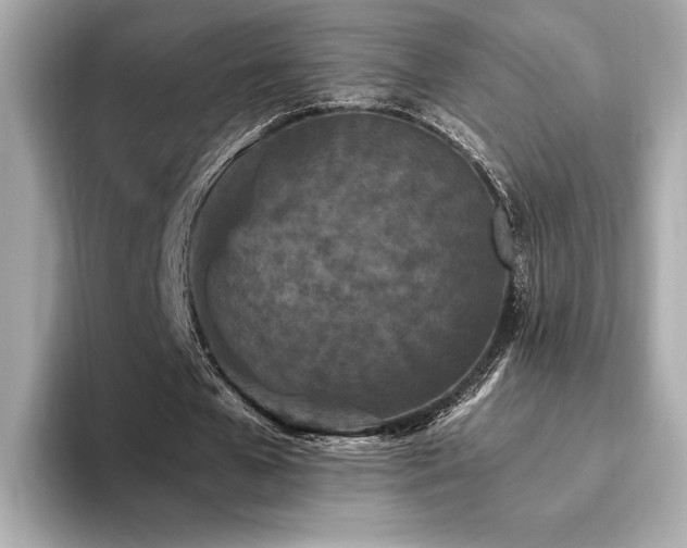 X0000093750577200710161159