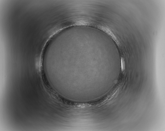 X0000093750579200710161159