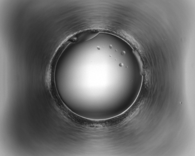X0000093750580200710161159