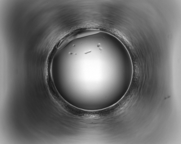X0000093750582200710161159