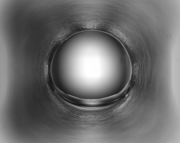 X0000093750589200710161159