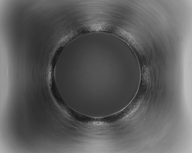 X0000093750590200710161159