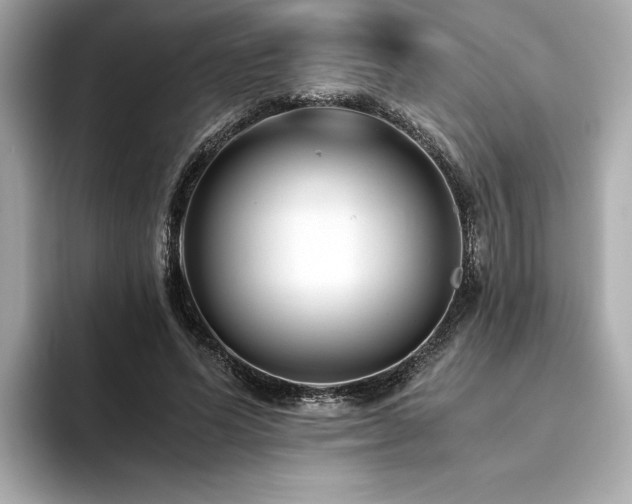 X0000093750591200710161159
