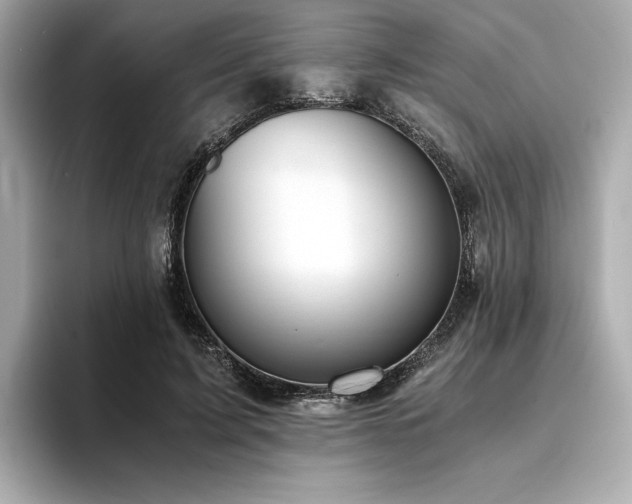 X0000093750595200710161159
