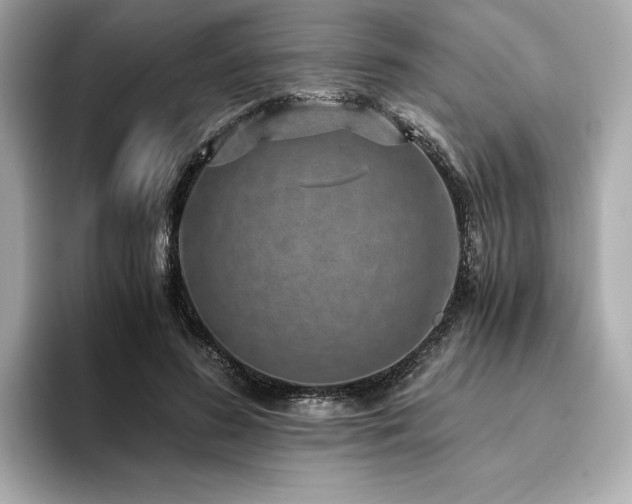 X0000093750596200710161159