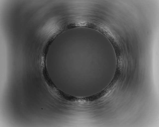 X0000093750598200710161159
