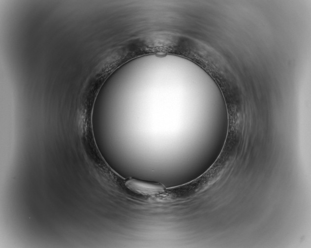 X0000093750599200710161159