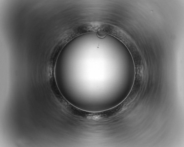 X0000093750602200710161159