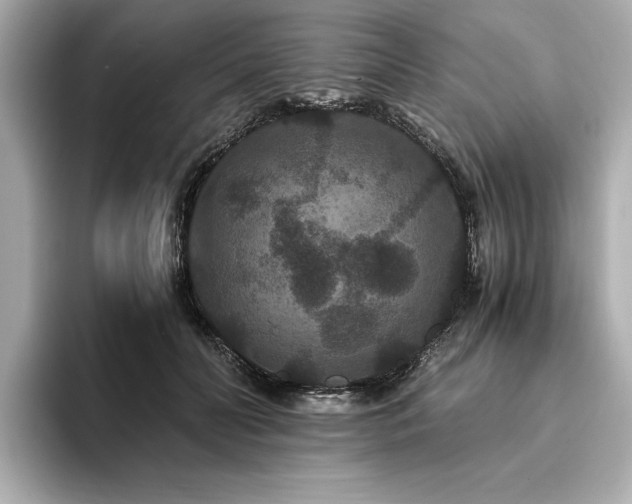 X0000093750606200710161159