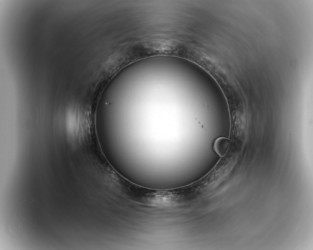X0000093750612200710161159