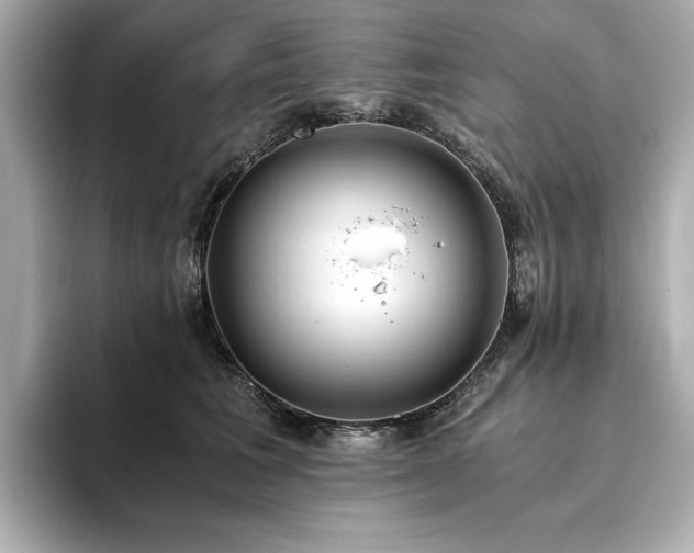 X0000093750613200710161159